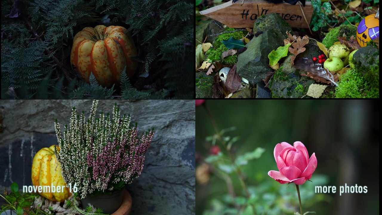 November-Blues (eine stimmungsvolle Ballade) (an atmospheric ballad)