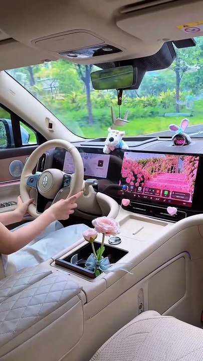 My First Travel In My New car