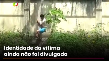 Homem invade jaula de leoa em zoológico de João Pessoa e morre após ataque