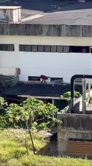 Homem é flagrado invadindo antiga sede dos Correios, em Salvador