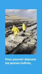 Rencontre avec les forçats des mers en Côtes-d'Armor