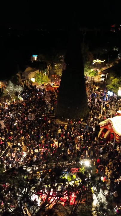Ischia (NA) - Il nostro albero 🎄❤️😍 (30.11.25)