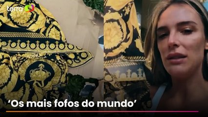 Rafa Brites tem vestidos da Versace destruídos por seus cachorros