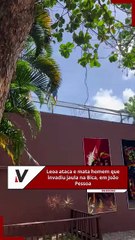 Hombre muere atacado por leona tras invadir recinto en zoológico