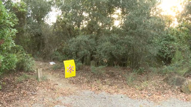 La peste porcina africana cierra los accesos al Parque Natural de Collserola