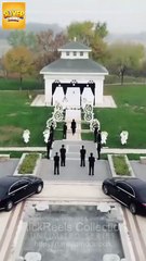 🧡🍏 🔥 The Billionaire's Spoiled Sister In Law (DUBBED) Full Short