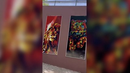 Un hombre muere al invadir el recinto de una leona en un zoológico en Brasil