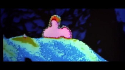 Predator (1987) Trailer