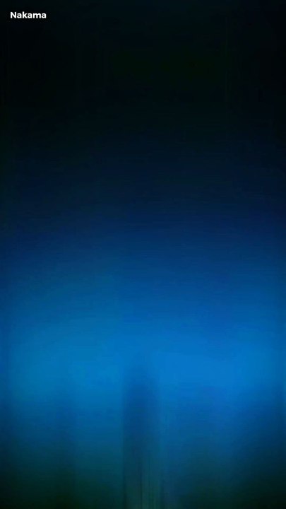 The Detective Is Already Dead (edit)