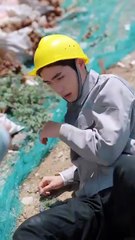 White Moonlight Saved His Life… But She Hates Him_! Now He Hides His identity Just to Win Her Heart! - Chinese  2025