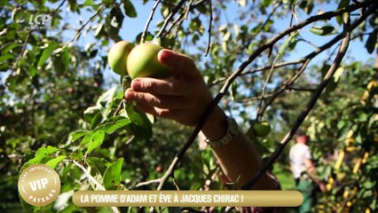 VIP Very Important Paysans - La viande made in France