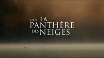 Le Chant des forêts: Teaser HD