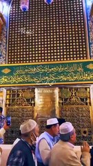 World beautiful videos#IslamicShorts #Quran #Hadith #IslamicReminders #Islamic official 7981 DailyIslam