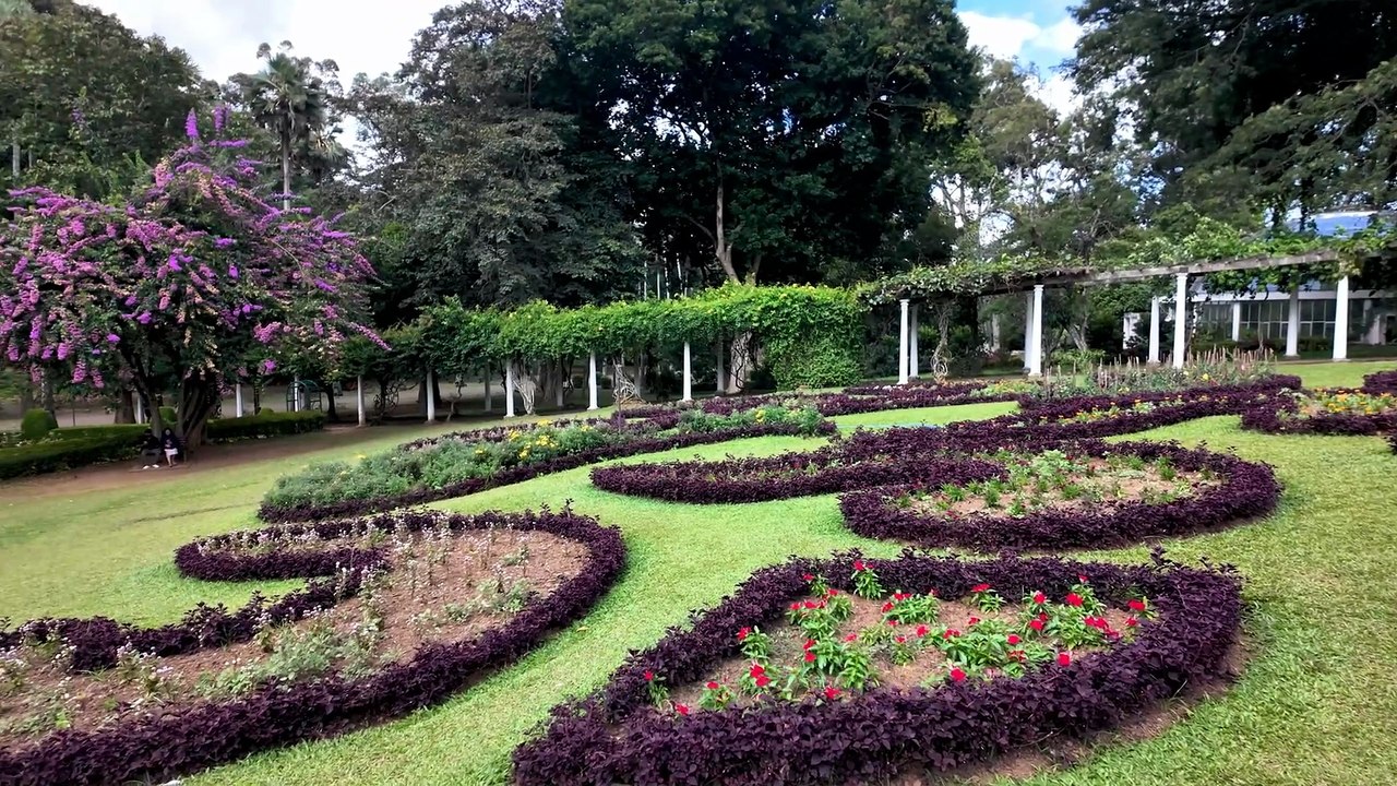 London Garden Plants | How to Choose Plants That Survive