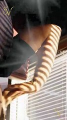 My Gift-Wrapped Billionaire | Full Movie HD - Best Drama ShortFilms Hot Romance Love