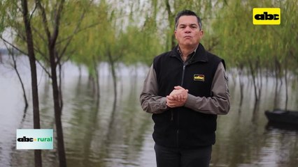 Video: Ventajas del manejo intensivo de pasturas en el Chaco