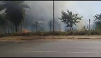 Incendio en zona del Botánico