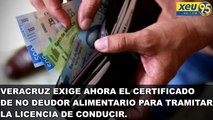 Veracruz exige ahora el certificado de no deudor alimentario para tramitar la licencia de conducir.