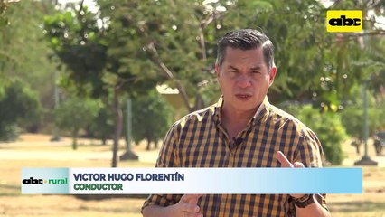 Video: importancia de la desecación de malezas antes de la siembra de soja