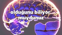Beynimizin küçük bir jeneratör olduğunu biliyormusunuz