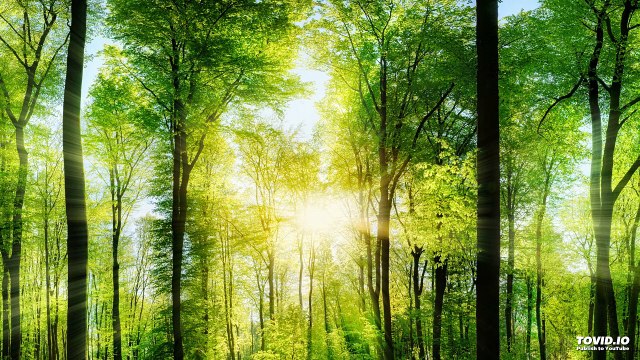 019שער הנקודים פרק א | Harav ariel sibeoni | Kabbale | secrets de la Torah | ochrot hayim