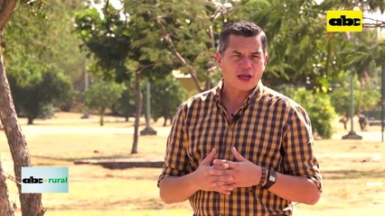 Video: importancia del análisis de suelo y profundidad en cultivos forestales