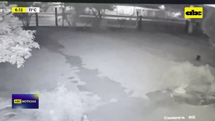 Video: Hombre asesinado en estación de servicios