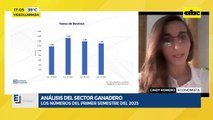 Análisis del sector ganadero: los números del primer semestre del 2023
