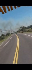 Nuevo Incendio Forestal En Ruta Luque San Bernardino