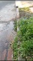 Vereda Con Pérdida De Agua