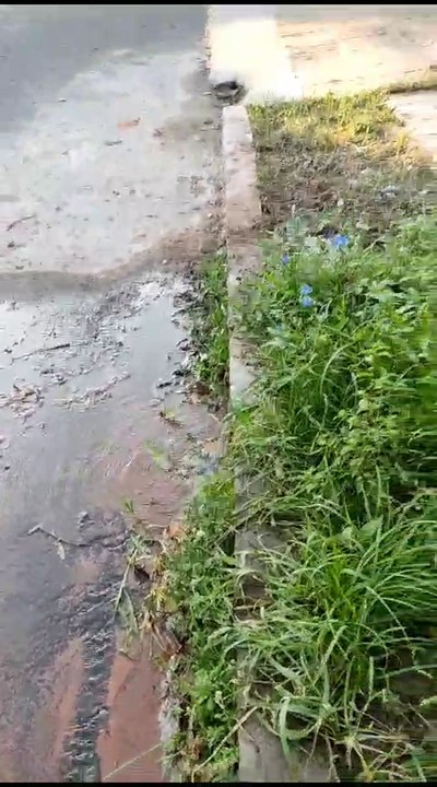 Vereda Con Pérdida De Agua