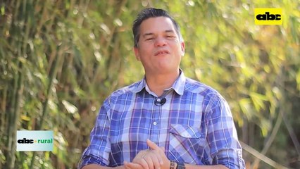 Video: compactación del ensilado para vacas lecheras