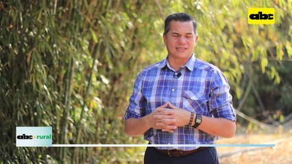 Video: encalado y fertilización de suelos forestales, y sus resultados