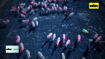 Video: drone y software para control de ganado en confinamiento
