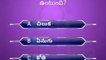 GK Questions in Telugu|| General Knowledge. Questions Telugu || Interesting Questions Telugu#gkquiz #gk #generalknowledge #gkquestion #gkchallenge #generalknowledgequestions #techgrowtelugu #telugugk #teluguquiz #compitativeexams #gktricks