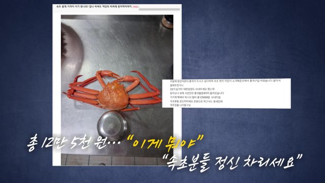 홍게에 참돔까지...끝날 줄 모르는 '바가지 논란' [앵커리포트] / YTN
