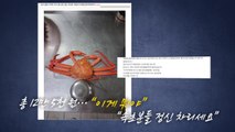 홍게에 참돔까지...끝날 줄 모르는 '바가지 논란'  [앵커리포트] / YTN