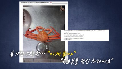홍게에 참돔까지...끝날 줄 모르는 '바가지 논란'  [앵커리포트] / YTN
