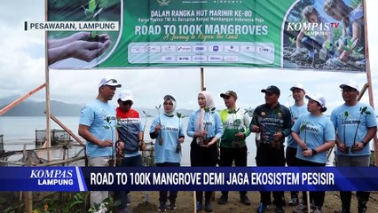 Road To 100k Mangrove Demi Jaga Ekosistem Pesisir