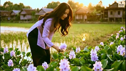 MÀU ÁO HOA CÀ – Official Music Video | Bolero Hoài Niệm