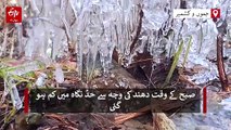 وادی کشمیر میں پیر کو شدید سردی سے قدرے راحت، میدانی علاقے گھنی دھند کی زد میں