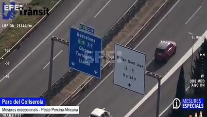 Más de 250 agentes se movilizan en el dispositivo para contener el foco de peste porcina