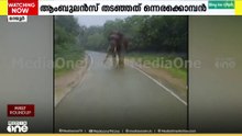 ഇടുക്കി മറയൂരിൽ ആംബുലൻസിന് മുന്നിൽ നിലയുറപ്പിച്ച് കാട്ടാന
