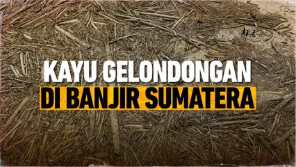 Misteri Ratusan Kubik Kayu Gelondongan di Banjir Sumatera