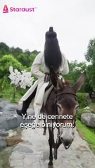 18 yıl deli rolü yaptı… Meğer dünyanın en güçlü suikastçısıymış! - Tüm Bölümler