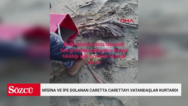 Misina ve ipe dolanan caretta carettayı vatandaşlar kurtardı