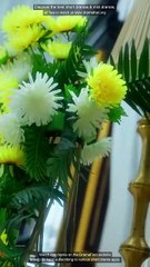 Justice for My Sister Full Movie Eng Sub Chinese Drama