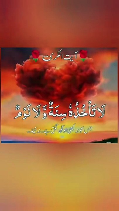 Your daily shield against every unseen harm