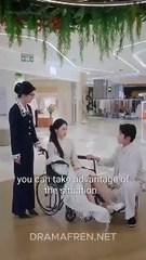 Unyielding Shield [Chinese Drama]