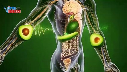 Avocado Inside the Body – Stunning 3D Anatomy Journey | Benefits & Side Effects Explained